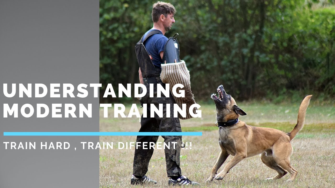 become a protection dog trainer