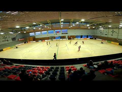 FEM 13 7 - 6 HC PALAU