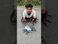 Rc Black Spider VS Remote wala Makadee Unboxing