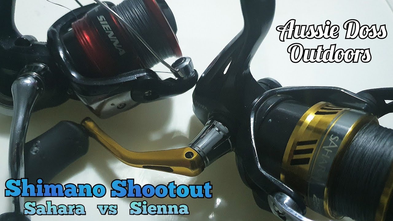 Shimano Shootout, Sahara Vs Sienna Comparison, 2500 spin reels, which is  the best value for you. 