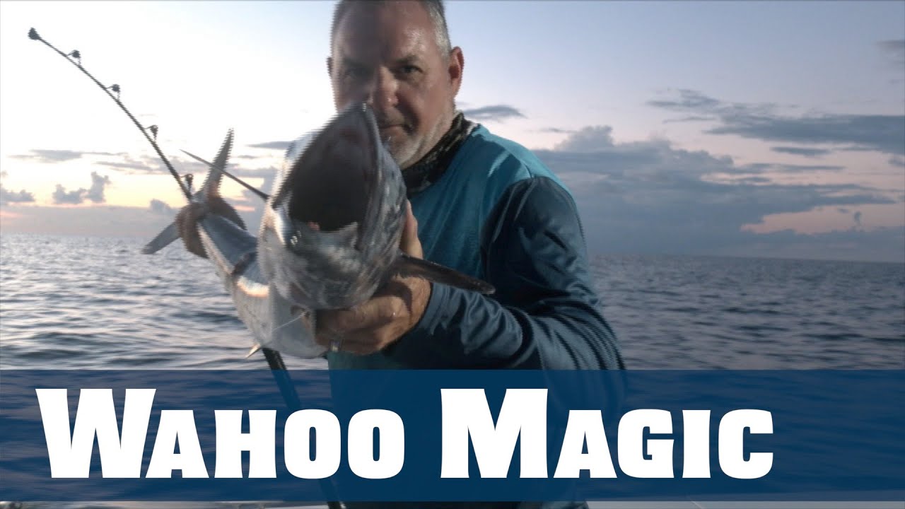 Wahoo Magic - Florida Sport Fishing TV - Tips Tackle Rigs Trolling