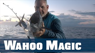 Wahoo Magic - Florida Sport Fishing TV - Tips Tackle Rigs Trolling Deep Diving Plugs Florida Keys
