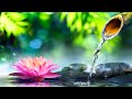 Relaxing Music 24/7, Meditation Music, Spa Music, Stress Relief Music, Sleep, Study, Massage Music