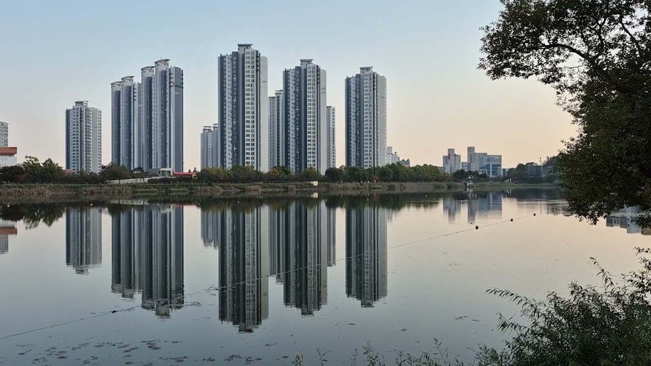 2025년 늦가을 청주 오송호수공원(연제저수지)