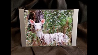 Keepsake Video 122620