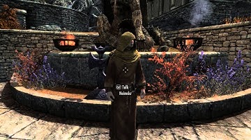 Enemies Explode: A Visit to My Favourite NPCs