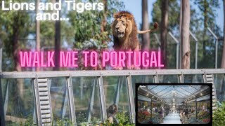 Daytrip to Porto Zoo | Porto market and Mall