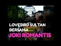 Lovebird SULTAN bersama Joki Romantis