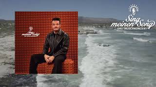Giovanni Zarella - Attacke (Sing Meinen Song Vol. 13)