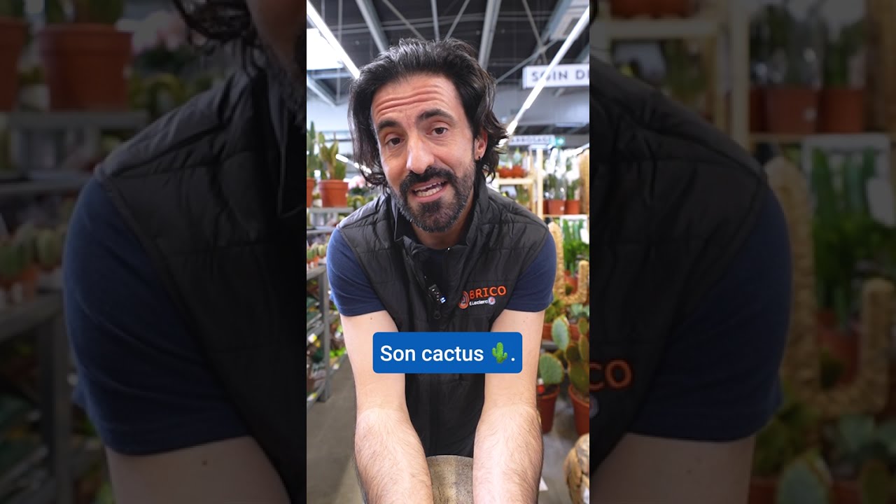 Notre conseil pour votre cactus