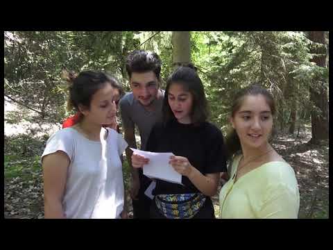 \"კომფორტის ზონა\"