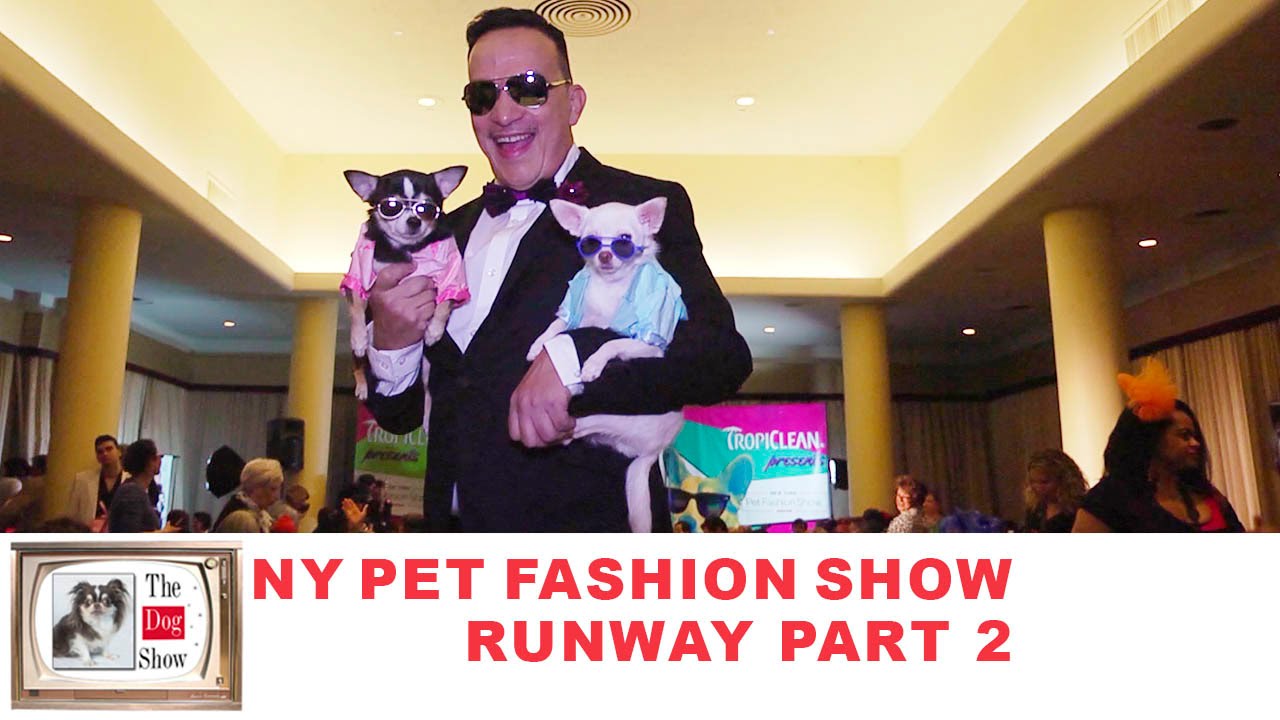 New York Pet Fashion Show 2016 Runway Part 2 The Dog Show NYC YouTube