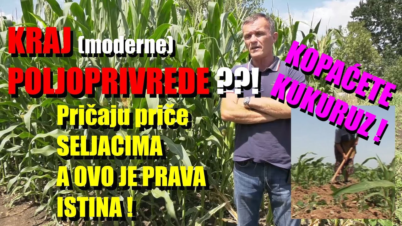 KRAJ moderne POLJOPRIVREDE !! Evo šta se dešava - KOPAĆETE PONOVO KUKRUZ MOTIKAMA !! Samo nema ko !?