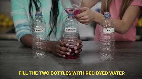 #FueledBy Heart Models | STEAM Tutorial | Valero