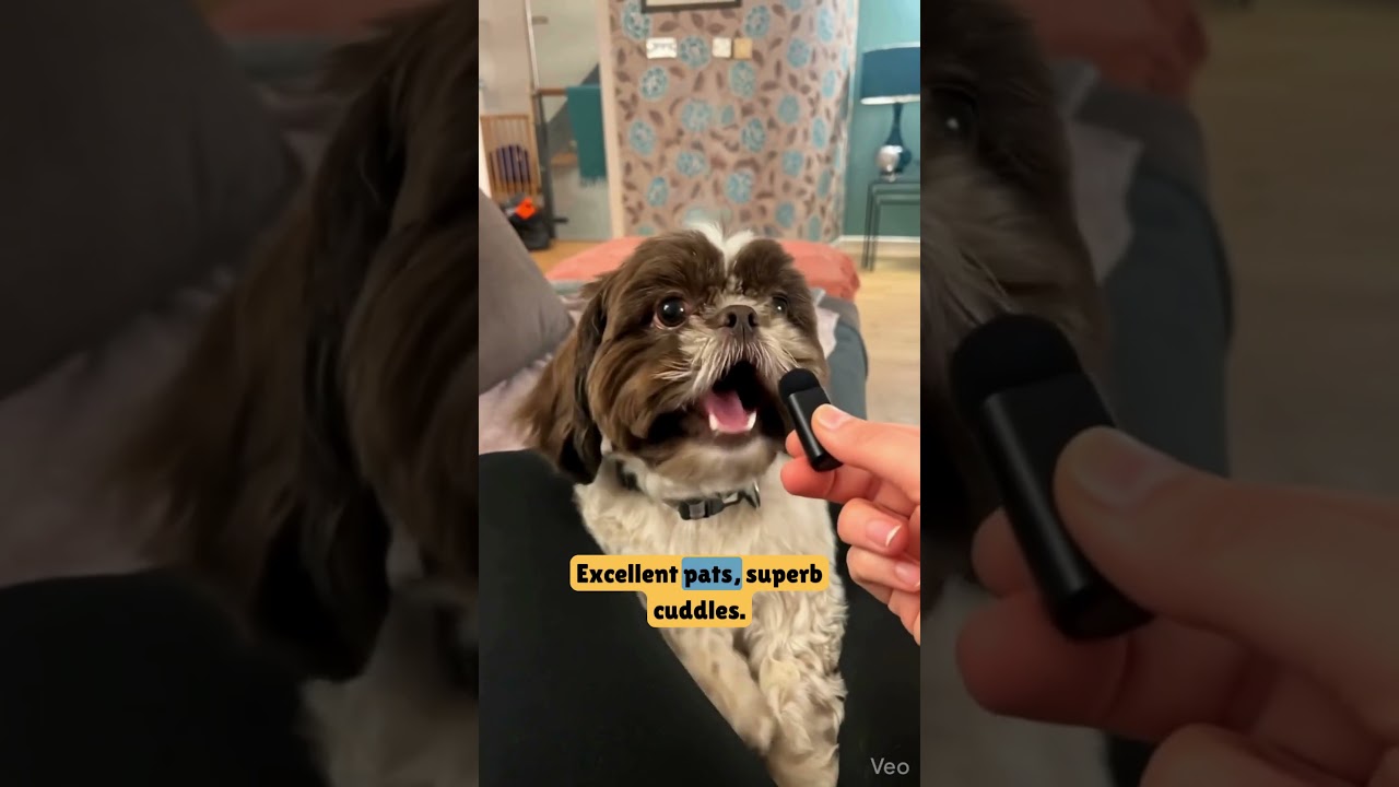 YouTube player
