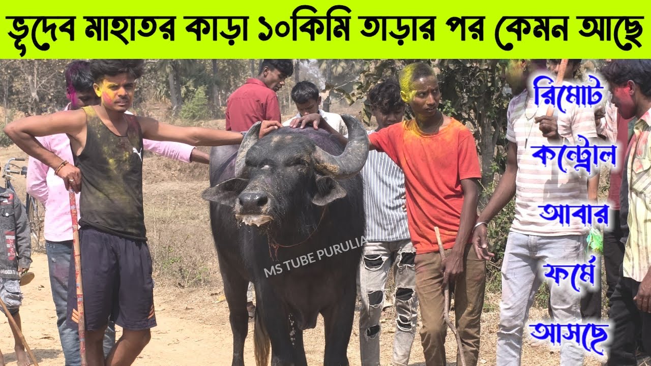 ভূদেব মাহাতর কাড়ার ফলাফল কি হলো দেখুন তাড়াতাড়ি 💢 বর্তমানে কি অবস্থায় আছে রিমোট কন্ট্রোল 