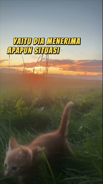 Resep Bahagia  #ngajifilsafatfahruddinfaiz #motivasihidup #motivation #shorts