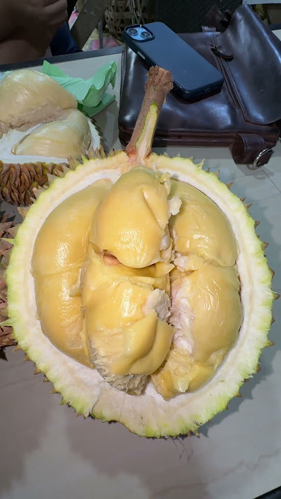 DURIAN LOKAL TAPSEL SUMUT😍 #jejezhuang