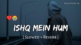 Ishq Mein Hum Tumhe Kya Batayein Lofi slowed  Reverb  Bewafa Sanam  Sonu Nigam  Bhojpuri 20
