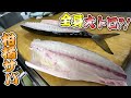 脂で真っ白！全身が大トロ級！愛媛産の『みかんサバ』でみんな幸せ！！！