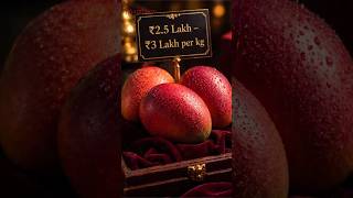 2.5-3 lakh ₹ mango/kg #mengo #expensive #facts #viral #news #india #reels #shorts #trending #juice