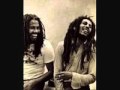 La planta - Lechero mon
