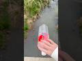 ペットボトルを捨ててみたw