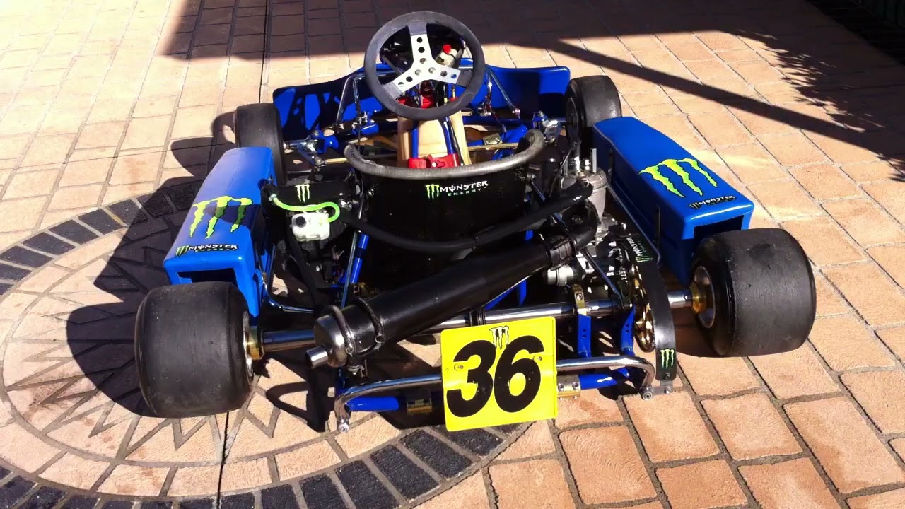LEOPARD 125CC 2 STROKE GO KART START UP AND WALKAROUND