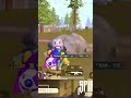 1Hp reflex