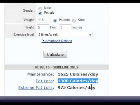 Nasi Lemak Calories Calculator