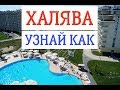 ИНСТРУКЦИЯ, как за 200 рублей забронировать отель в Сочи? // Горки Город, Горки Арт и Сочи Парк