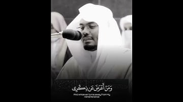تلاوة تبكي الصخر بصوت الشيخ - ياسر الدوسري | yaser aldosari