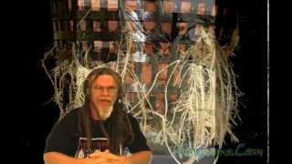 How To Grow Marijuana Hydroponics