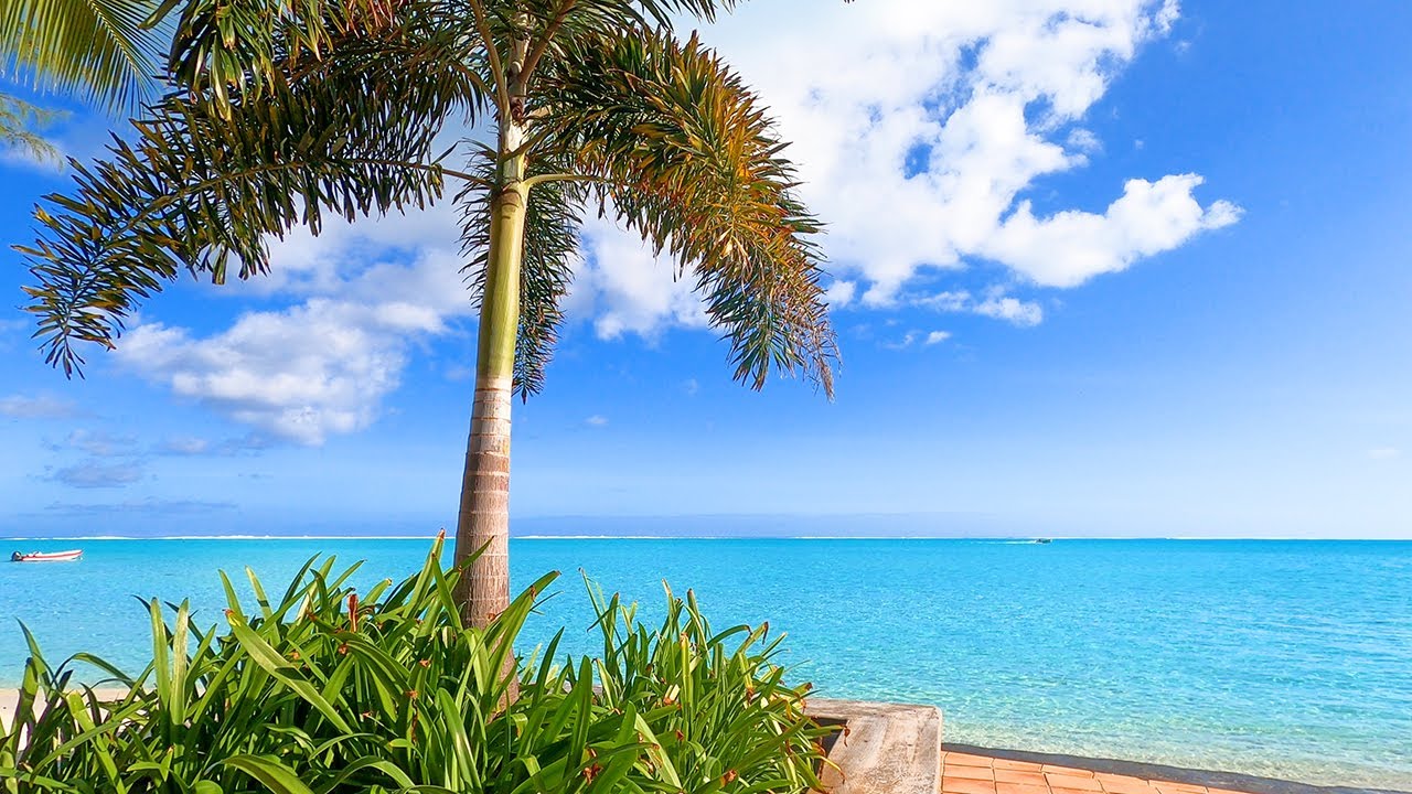 Tropical Zen YouTube