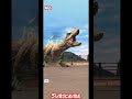 Jwa notagamer subscribe 5k jurassicpark jurassicworldalive jwa dinosaur rexy
