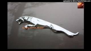 Jaguar - Sebastien Leger - House Music