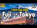 Japanese Train ASMR - MOUNT FUJI to TOKYO (Side View) 1 HOUR