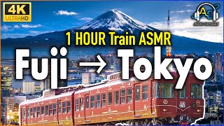 Japanese Trains - MOUNT FUJI to TOKYO (Side View) 1 HOUR for SLEEPING & STUDYING [Relaxing ASMR]