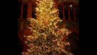 Video thumbnail of "it's christmas time"