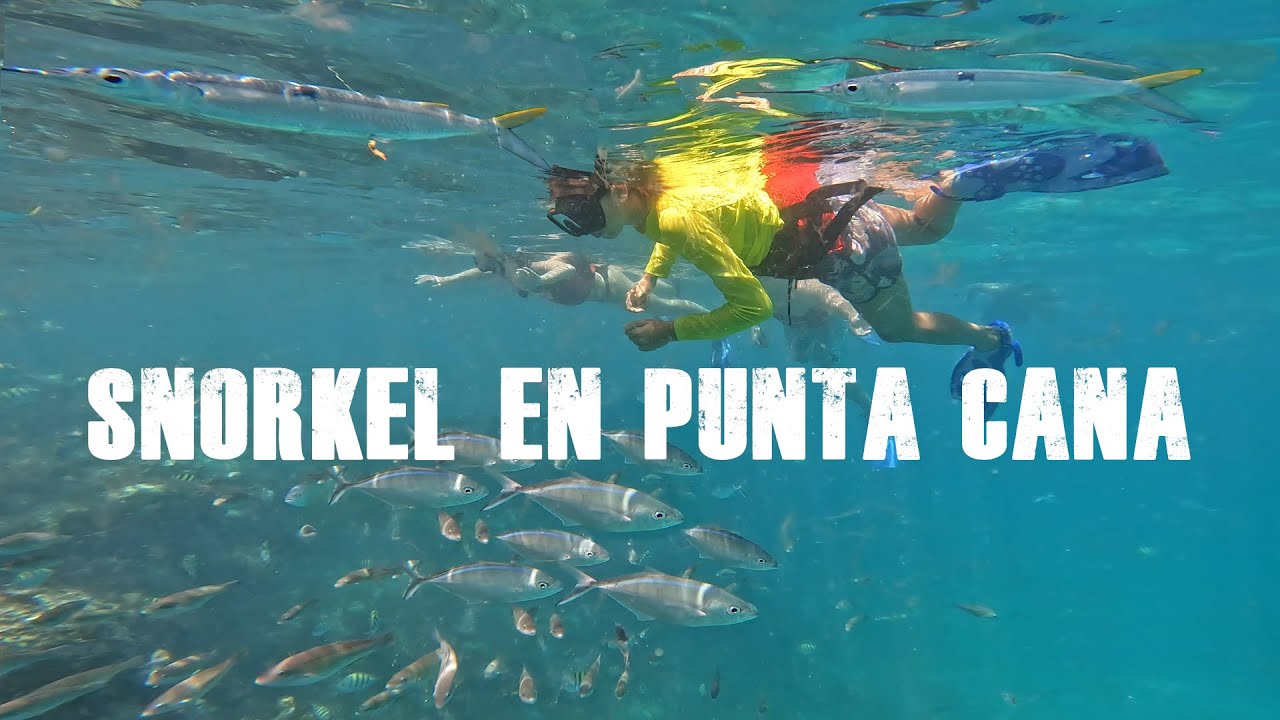 🤿Excursion de snorkel y granja de corales en 🪸🐠Punta Cana con Hispaniola Aquatic Adventures