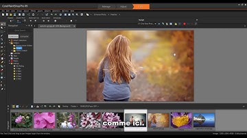 Utilisation des scripts dans PaintShop Pro