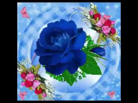 للهم إنا نسألك صباحا يملأ الأجساد عافية والروح فرحا اللهم أرحنا من هموم الدنيا