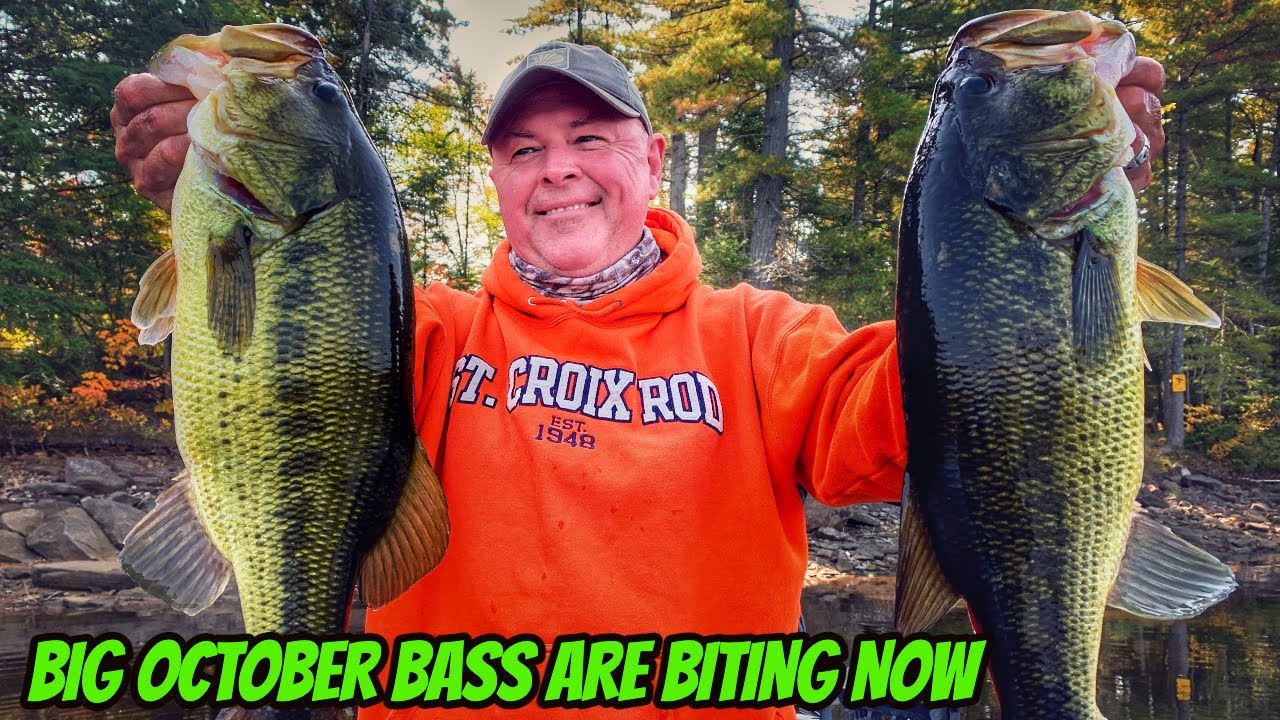 BIG OCTOBER LARGEMOUTH BASS ARE BITING NOW- How to Find & Catch Them!