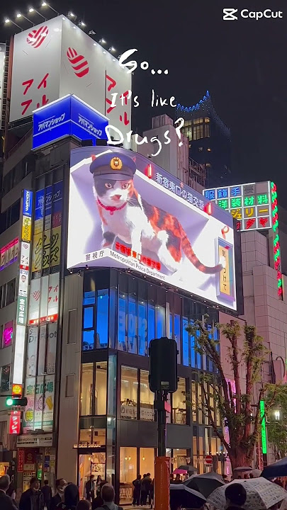 It’s better than drugs, Jeremy #japan #tokyo #運営さん大好き #travel #tiktok #explore #follow #love