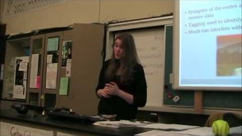 The Basics of Memory Encoding (Part 2)