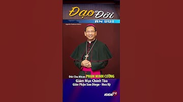 nnnTV | Giám Mục gốc Việt đầu tiên làm Giám Mục Chính Tòa tại Hoa Kỳ #shorts