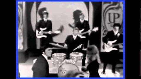 ♫ The Strangers ♥ Happy Without You ♫