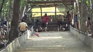 Download Lagu Kelinci Tercepat Se Dunia 😊🤩 MP3