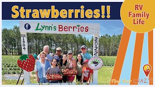 At The Strawberry Farm - Find Your Crazy: Faith, Family & Fun In A Large Family by Find Your Crazy 109 views 1 year ago 13 minutes, 52 seconds