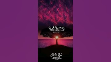 سورة النمل #القرآن_الكريم #اكسبلور